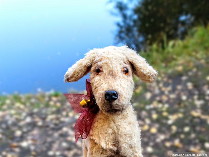 Прекрасная осень — Домашние коллекции кукол: фото собраний