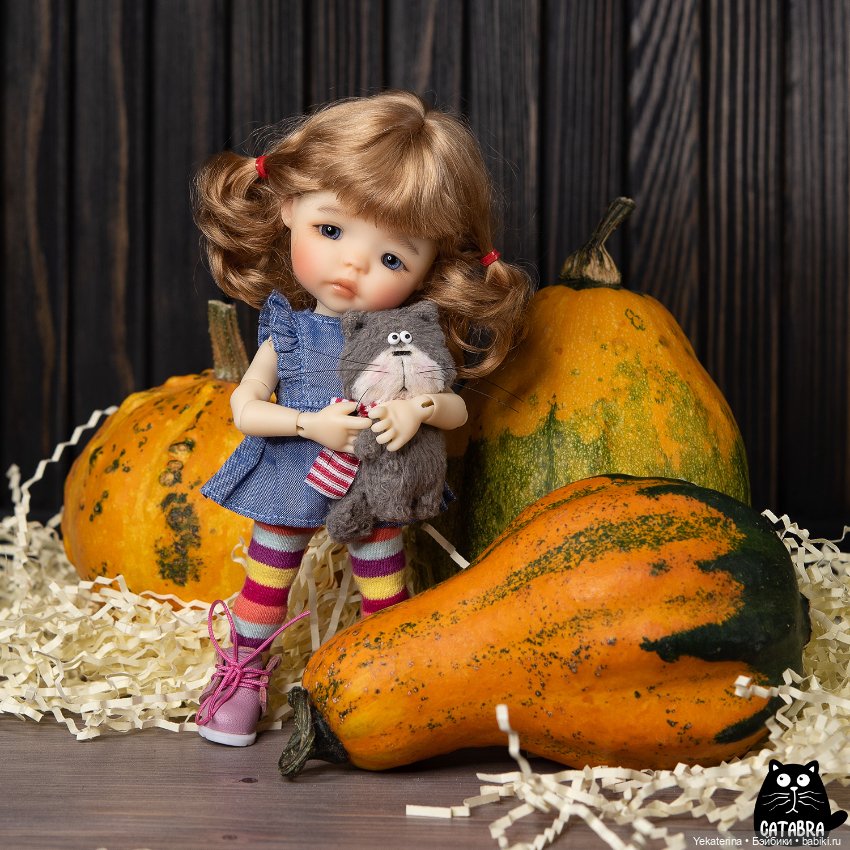 Осеннее — Куклы Meadow dolls (Медовушки): BJD (БЖД) (фото 5)