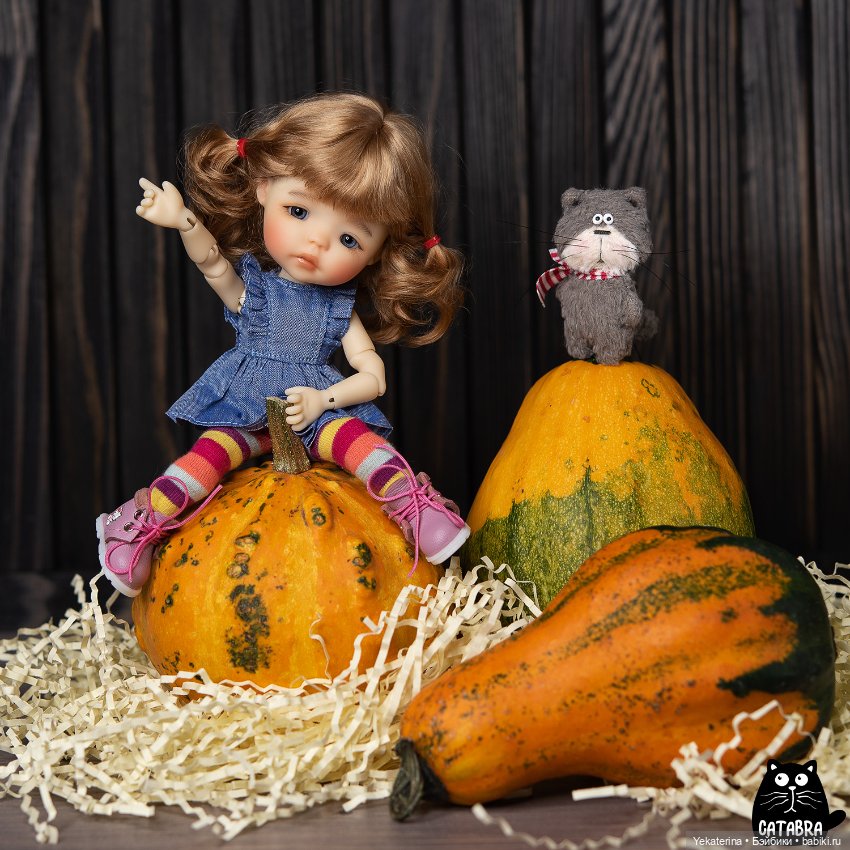 Осеннее — Куклы Meadow dolls (Медовушки): BJD (БЖД) (фото 3)