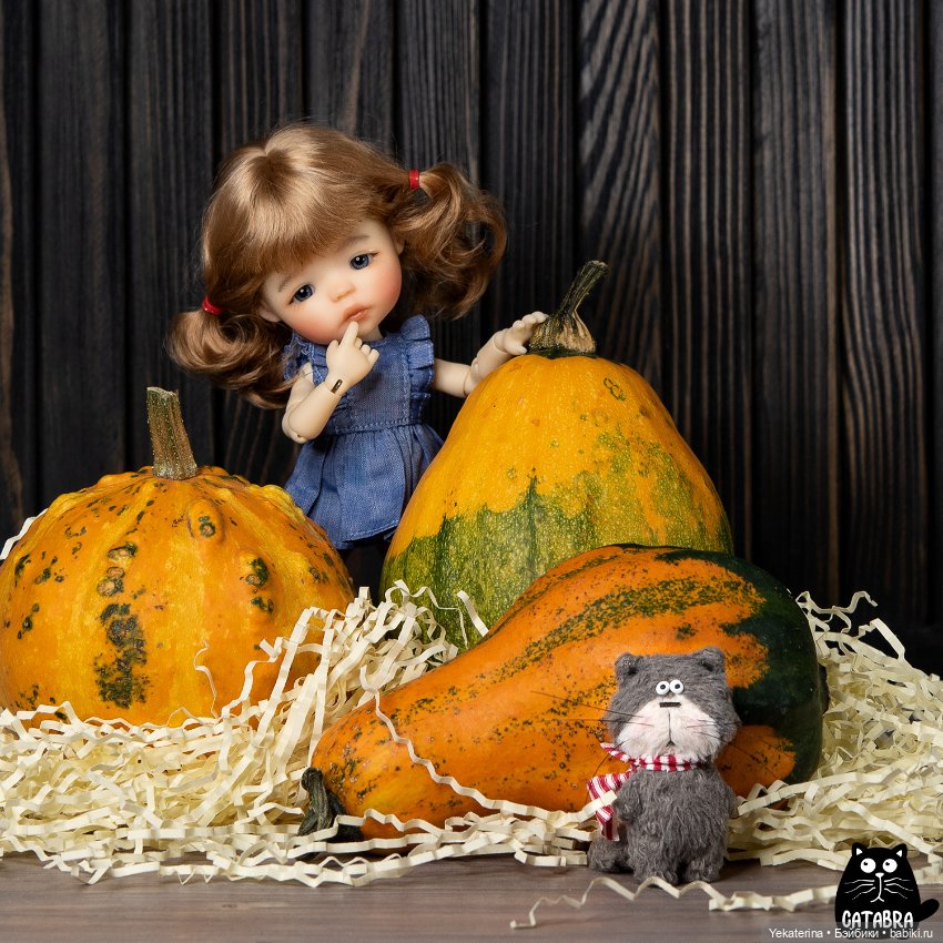 Осеннее — Куклы Meadow dolls (Медовушки): BJD (БЖД) (фото 4)