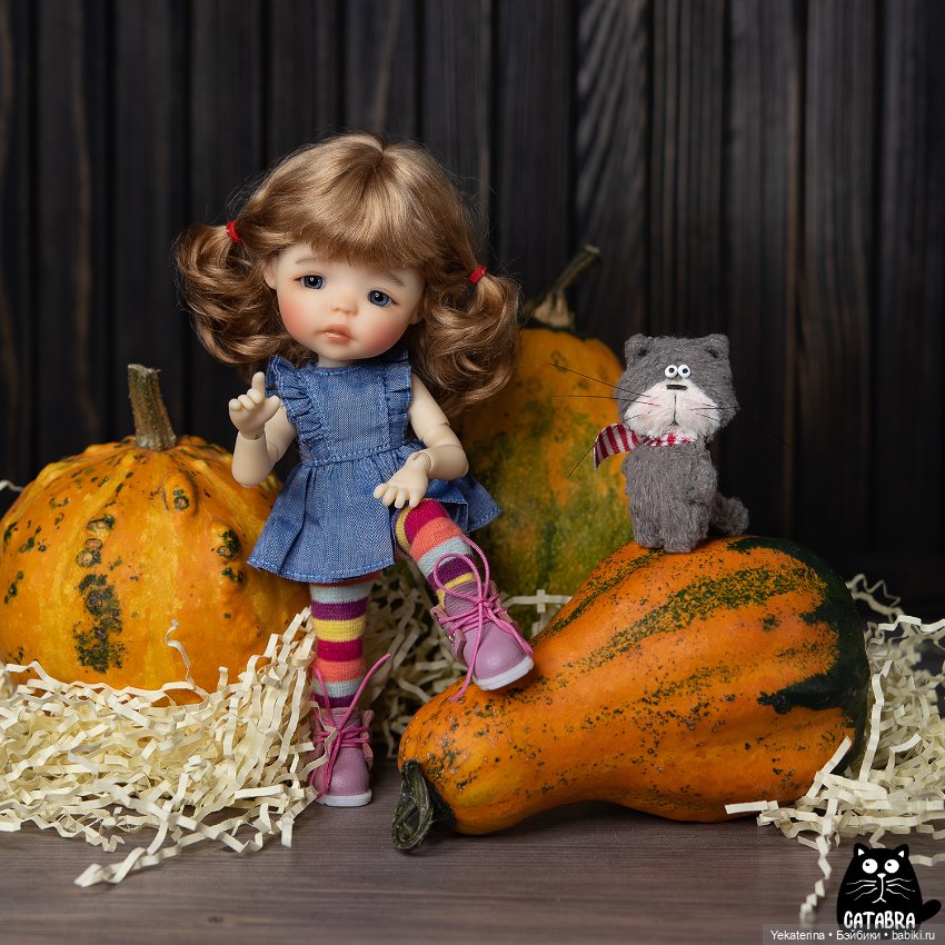 Осеннее — Куклы Meadow dolls (Медовушки): BJD (БЖД) (фото 2)