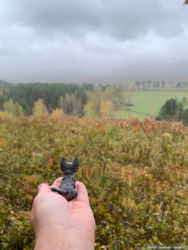 Гуляем с Омлетиком в осеннем лесу (фото 10)