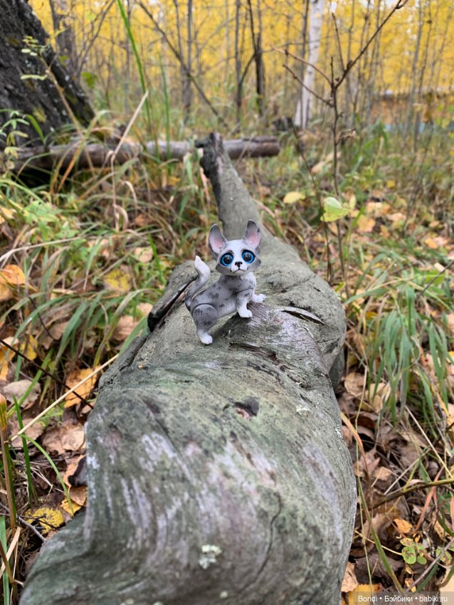 Гуляем с Омлетиком в осеннем лесу (фото 6)