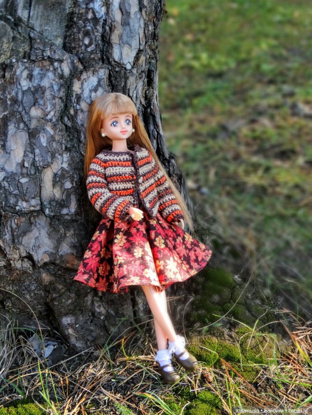 Осенняя Дженни — Куклы Takara Tomy (Такара): Licca (Ликка) (фото 5)