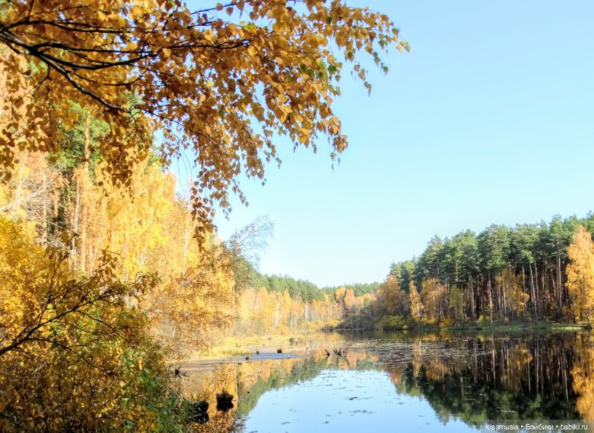 Осенняя Дженни — Куклы Takara Tomy (Такара): Licca (Ликка)