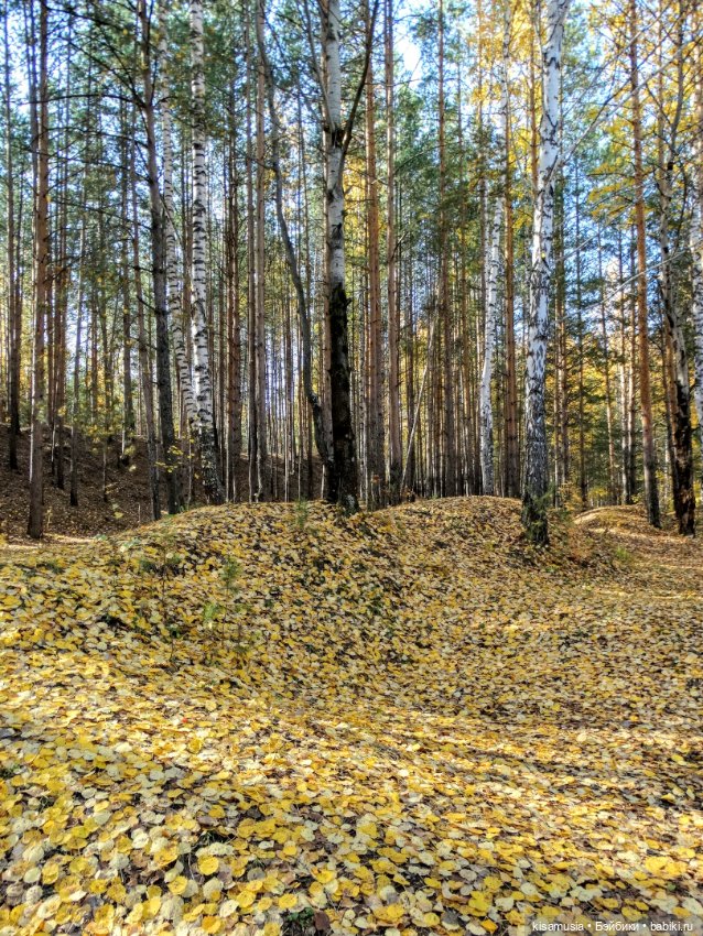 Осенняя Дженни — Куклы Takara Tomy (Такара): Licca (Ликка) (фото 7)