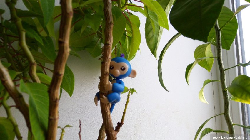 Набор фигурок Динозавров (6 шт) и обезьянка на палец. Покупки из Магнита