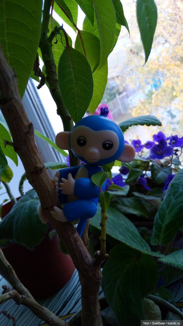 Набор фигурок Динозавров (6 шт) и обезьянка на палец. Покупки из Магнита