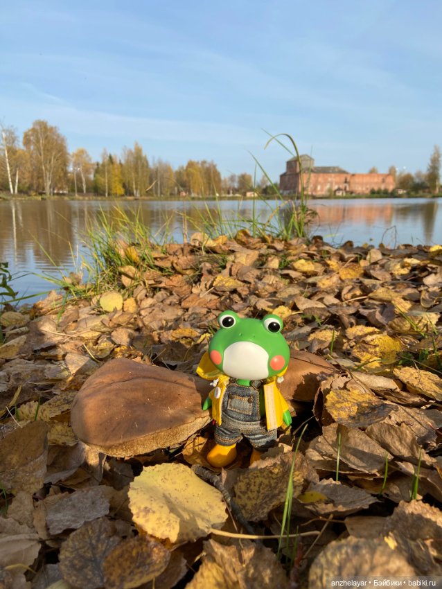 Солнечный октябрь — Интересное и необычное: фотоподборки (фото 5)