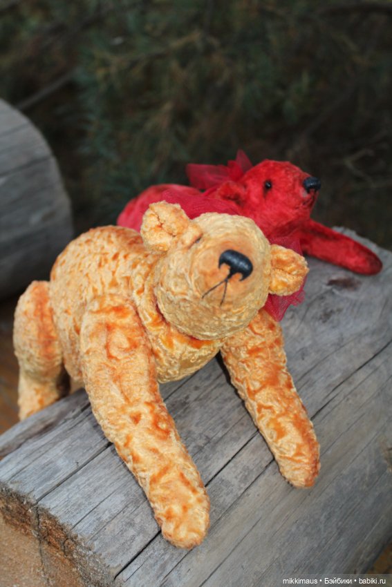 Полярные медведи бывают разными (фото 9)