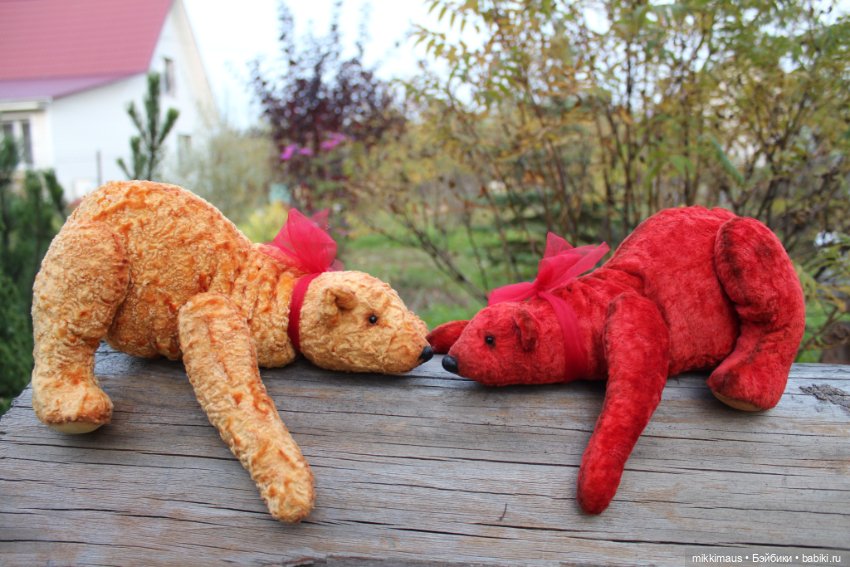 Полярные медведи бывают разными