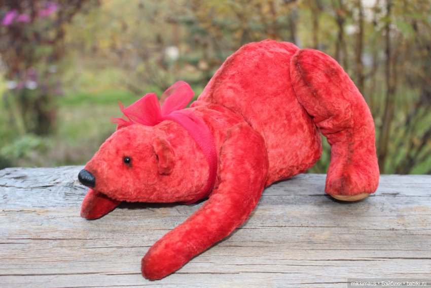 Полярные медведи бывают разными