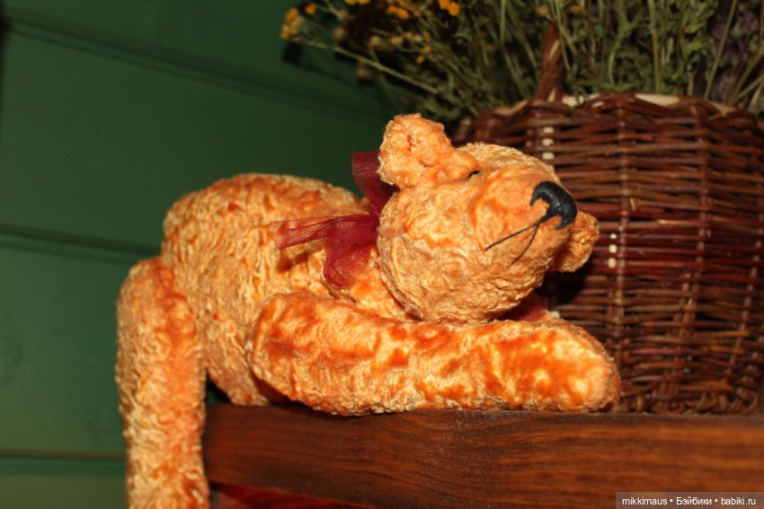 Полярные медведи бывают разными