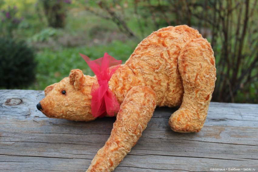 Полярные медведи бывают разными