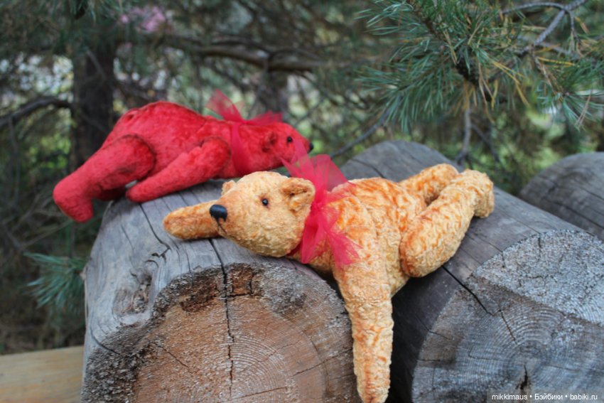 Полярные медведи бывают разными