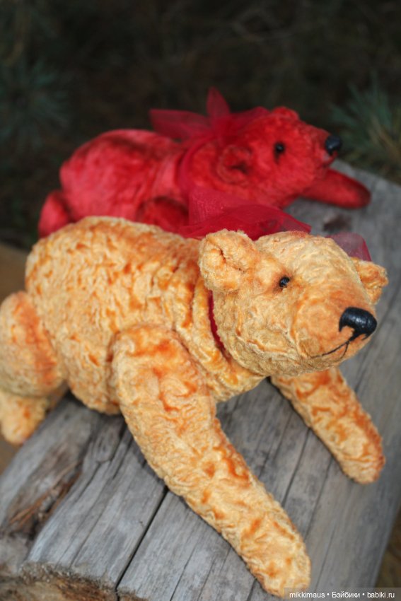 Полярные медведи бывают разными (фото 10)