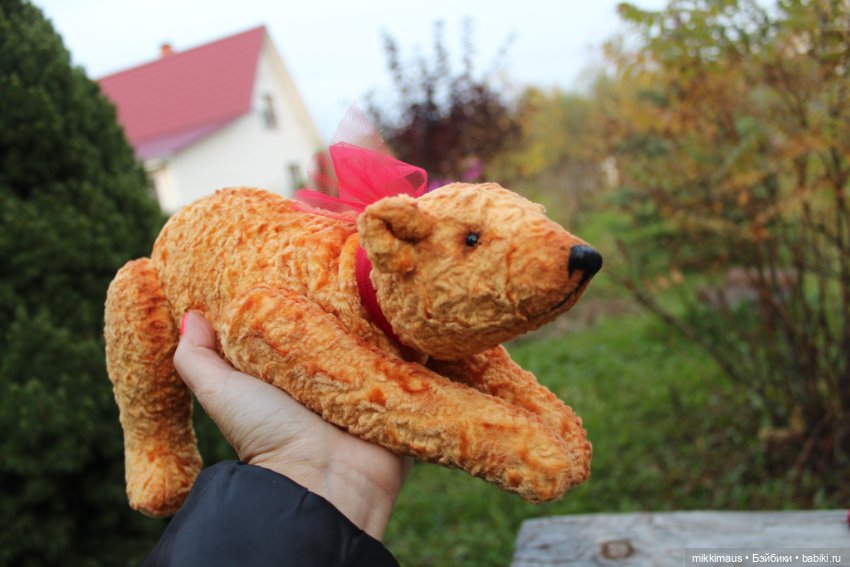 Полярные медведи бывают разными