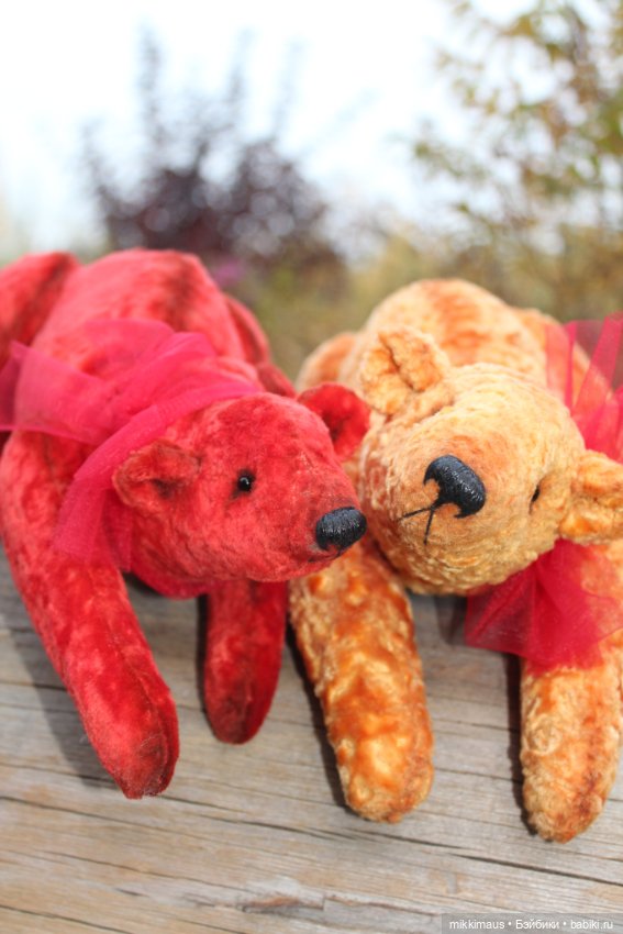 Полярные медведи бывают разными