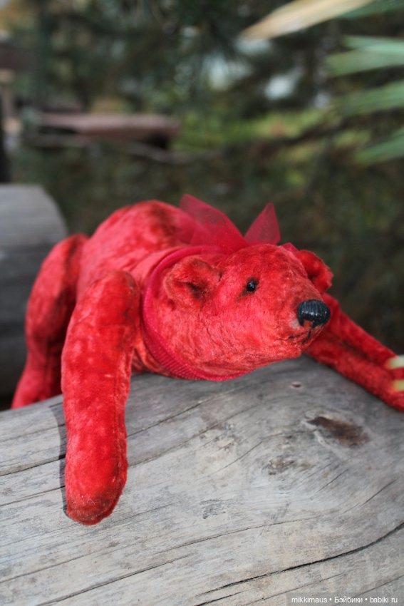 Полярные медведи бывают разными (фото 5)