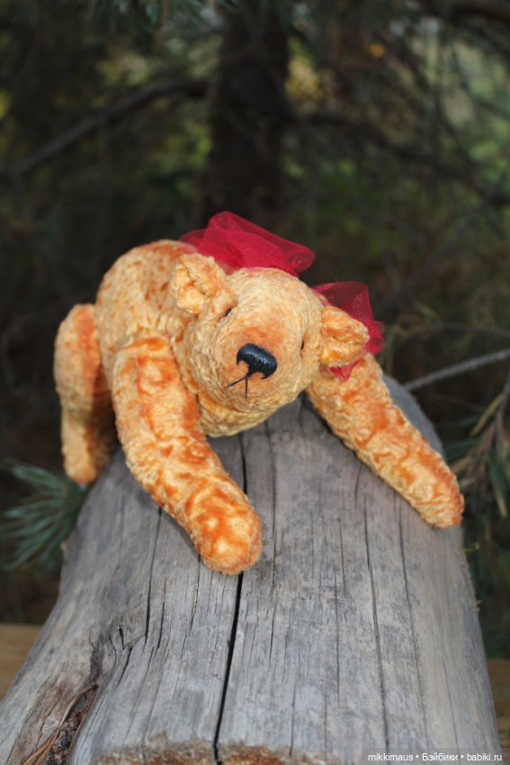 Полярные медведи бывают разными (фото 4)