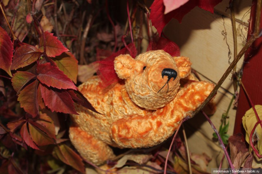 Полярные медведи бывают разными (фото 3)