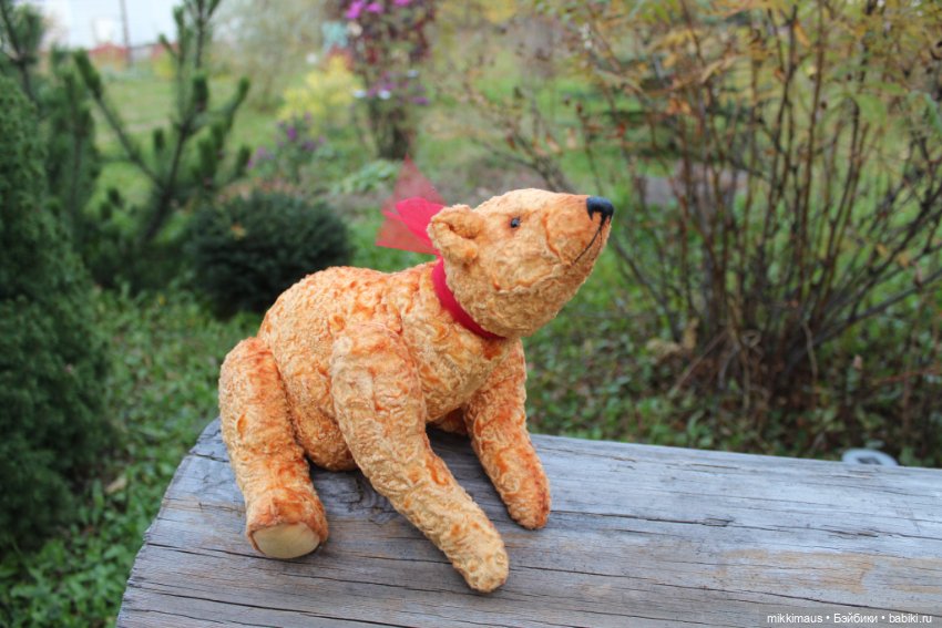 Полярные медведи бывают разными