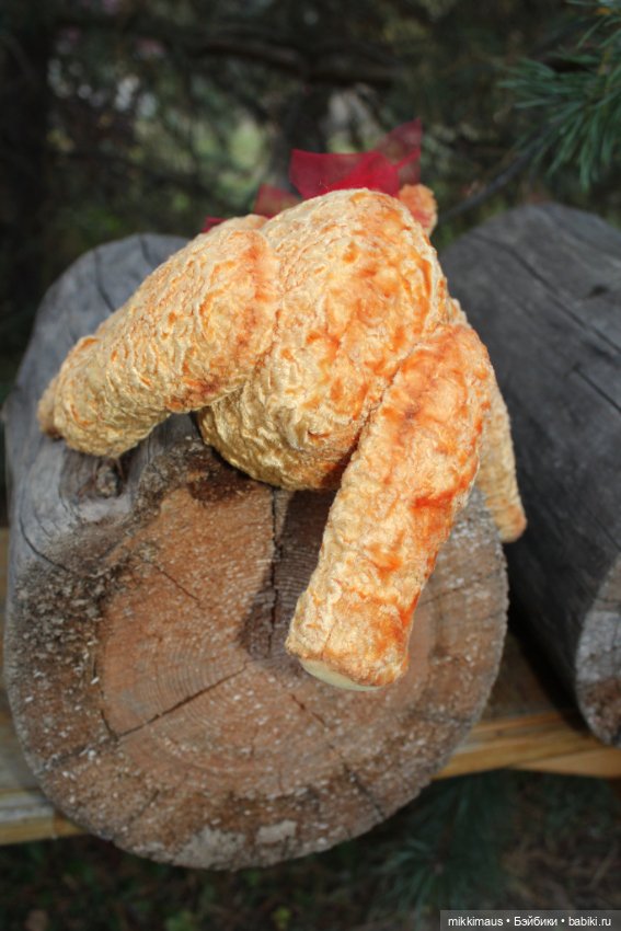 Полярные медведи бывают разными (фото 7)