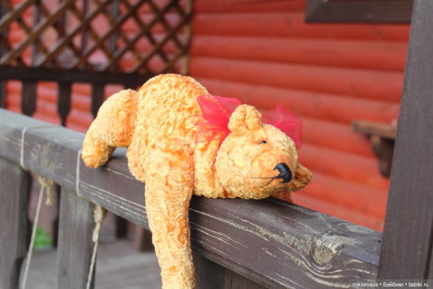 Полярные медведи бывают разными