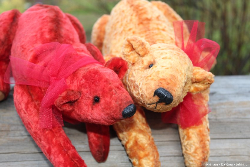 Полярные медведи бывают разными