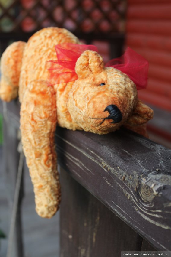 Полярные медведи бывают разными (фото 2)