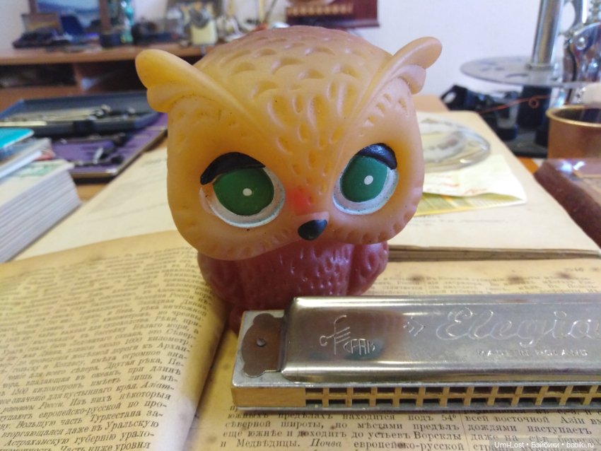 Прогуляемся по блошке — Болталка и разговоры обо всем: жизнь