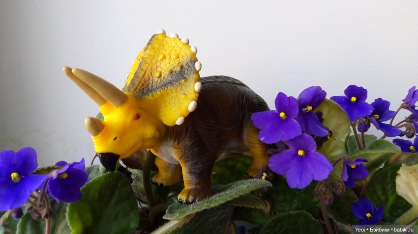 Набор фигурок - 2 - Динозавров (6 шт) и динозаврик на палец. Покупки из Магнита 2