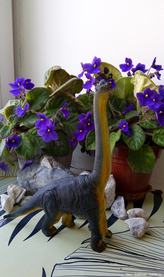 Набор фигурок - 2 - Динозавров (6 шт) и динозаврик на палец. Покупки из Магнита 2