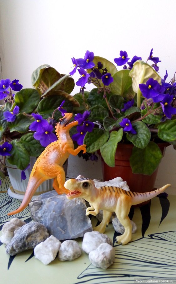 Набор фигурок - 2 - Динозавров (6 шт) и динозаврик на палец. Покупки из Магнита 2