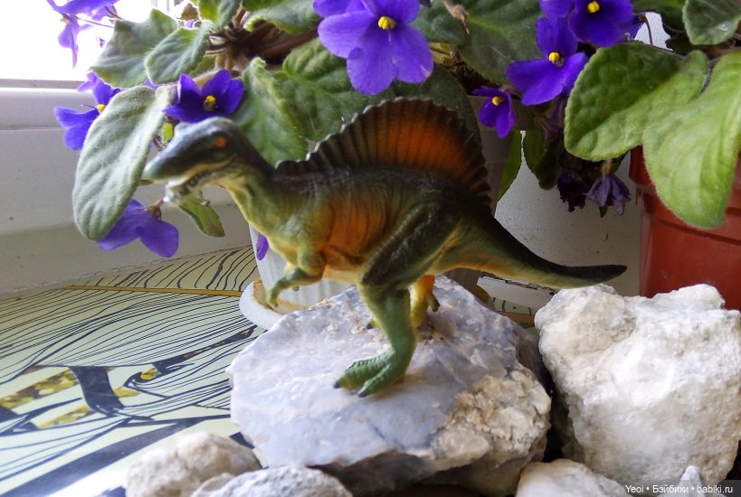 Набор фигурок - 2 - Динозавров (6 шт) и динозаврик на палец. Покупки из Магнита 2