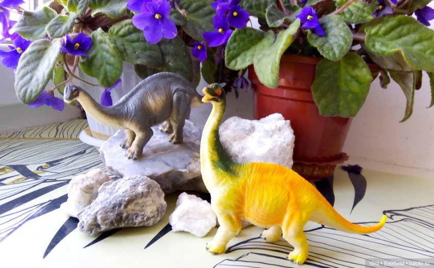 Набор фигурок - 2 - Динозавров (6 шт) и динозаврик на палец. Покупки из Магнита 2