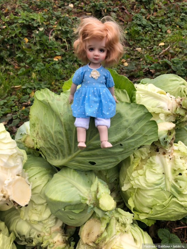 Урожайный октябрь — Куклы Miroxdolls (Оксана Миронова): российские БЖД