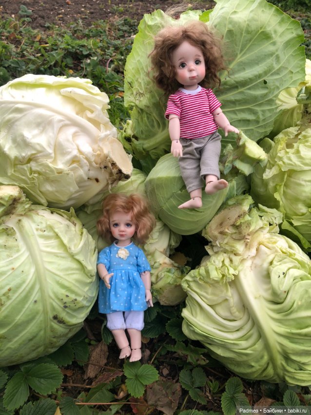 Урожайный октябрь — Куклы Miroxdolls (Оксана Миронова): российские БЖД (фото 4)