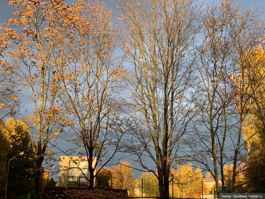 Куколки Келли. Mattel. Тройняшки