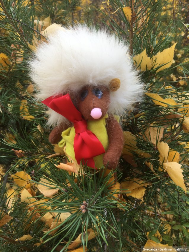 Волшебные краски осеннего леса