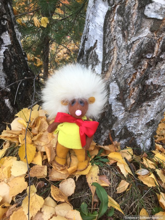 Волшебные краски осеннего леса