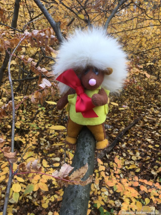 Волшебные краски осеннего леса (фото 3)