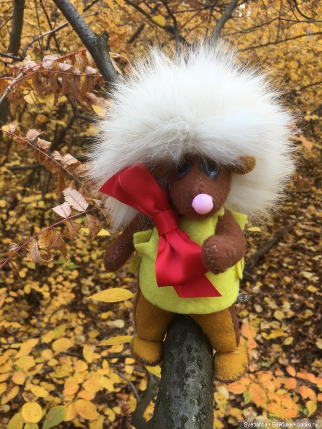 Волшебные краски осеннего леса (фото 4)