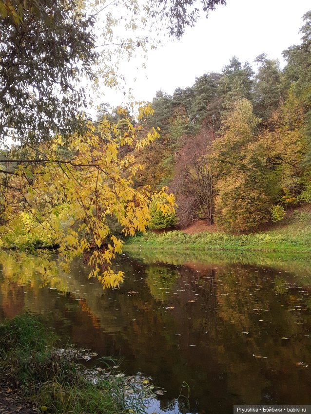 Краски осени для Лили — Фэшн (фото 4)