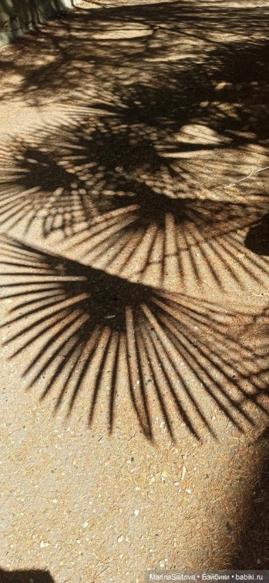 Санаторий Орджоникидзе - заброшенный рай (фото 2)