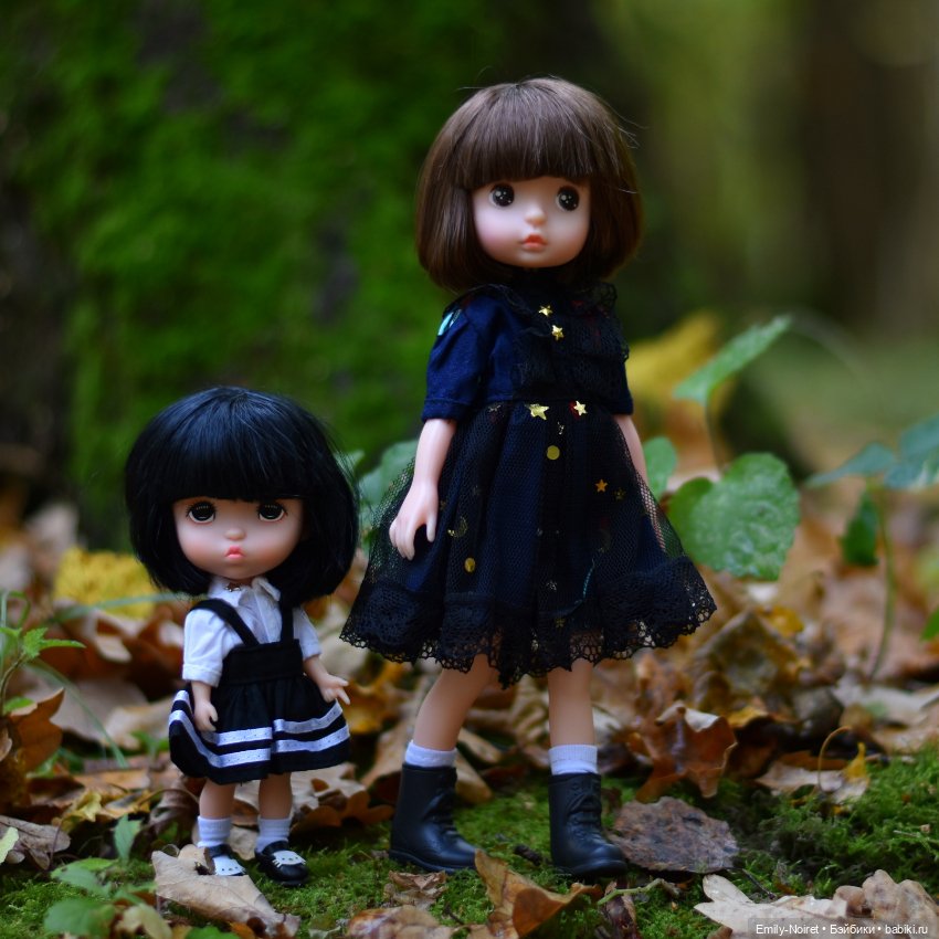 Элли и Энни — Азиатские виниловые куклы (разное): Китай