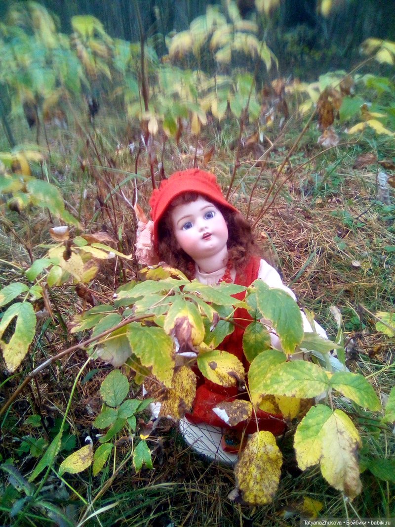 А благородный Шарль Перро опять берется за перо (фото 4)