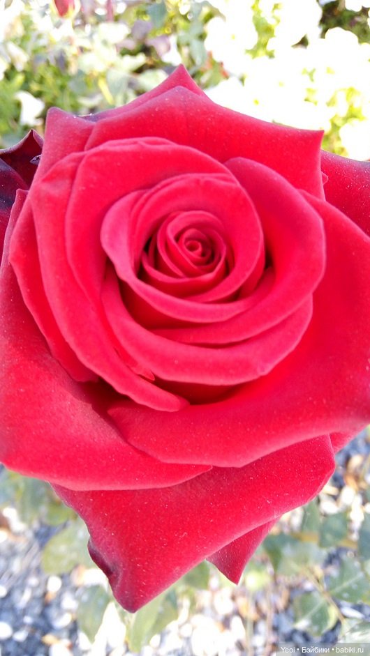 Прогулка в парке, солнечный денек