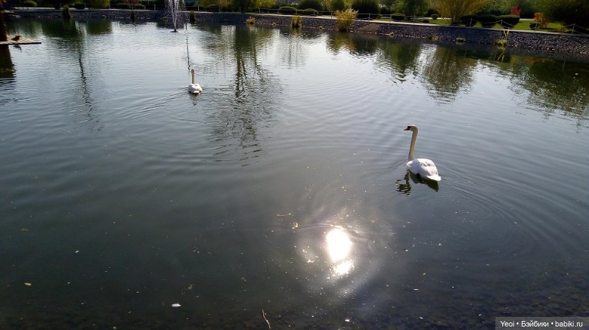 Прогулка в парке, солнечный денек (фото 6)