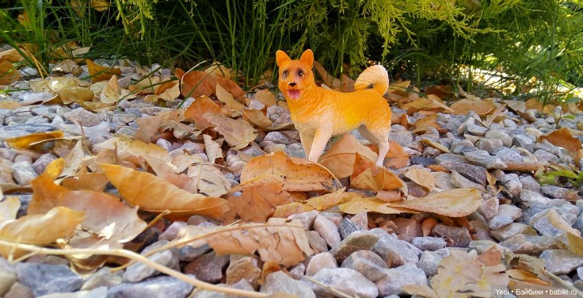 Прогулка в парке, солнечный денек